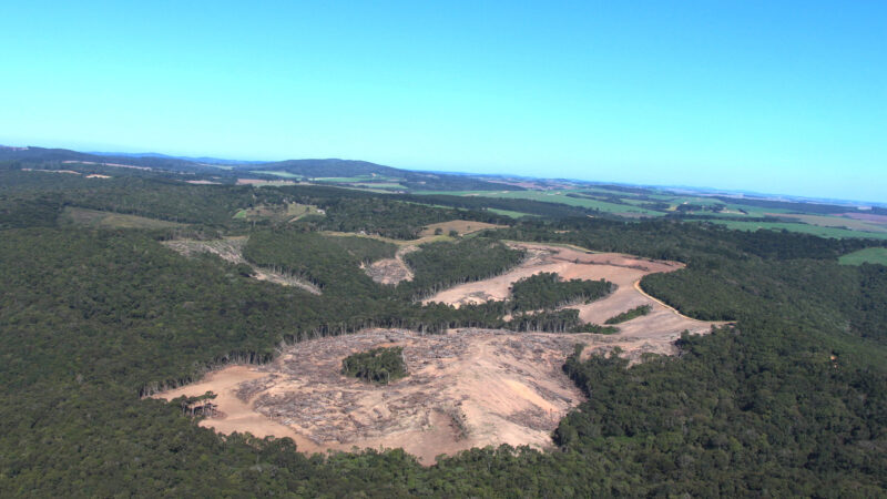 Fiscalização do IAT identifica 31,1 hectares de área desmatada em Piraí do Sul