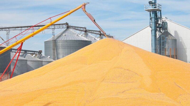 Exportação de grãos de milho e soja durante a safra de 2023 estima trégua nos preços