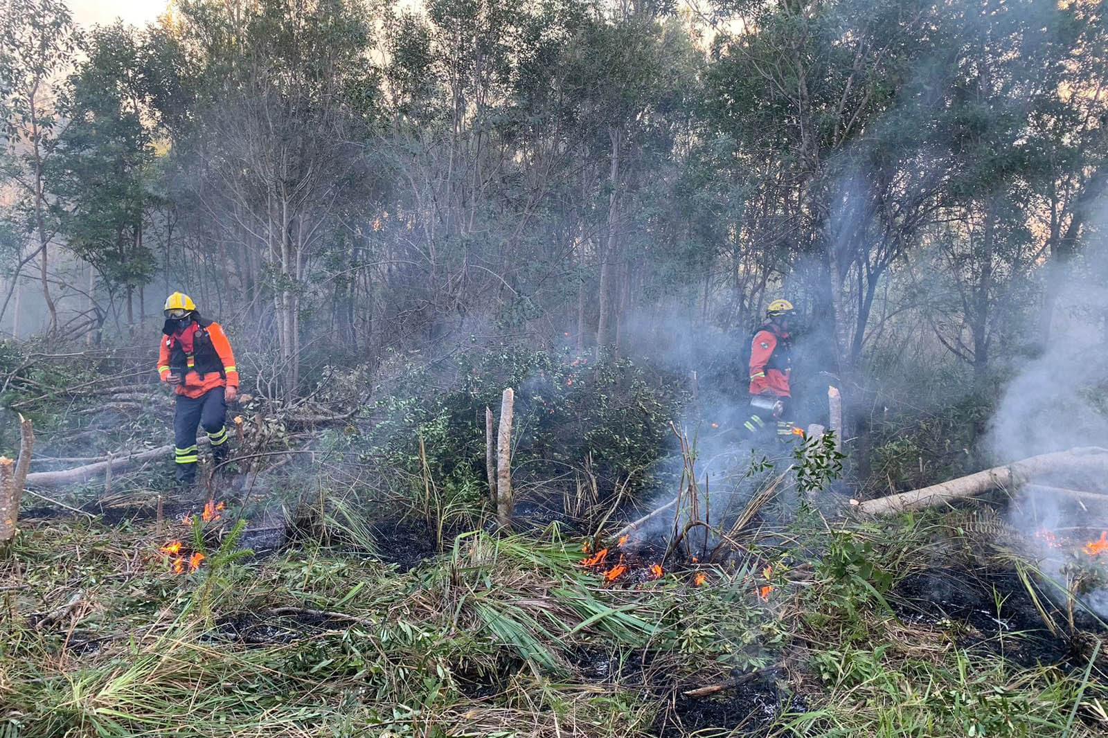 Com apoio do Simepar, Corpo de Bombeiros lança operação contra incêndios florestais no Paraná