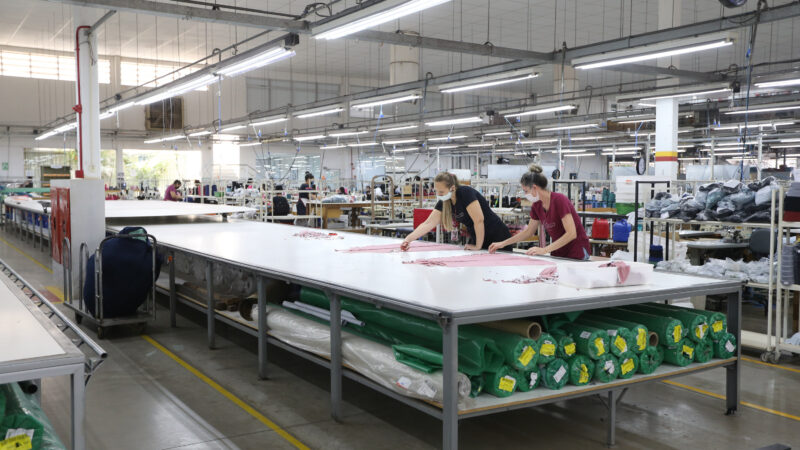 Paraná lidera criação de empregos para mulheres via rede Sine no 1º semestre