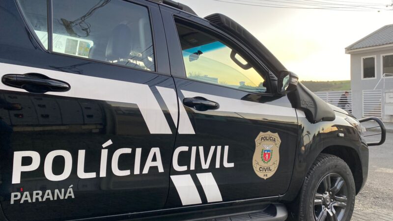 Polícia Civil em Palmeira apreende adolescente por praticar oito furtos só neste ano