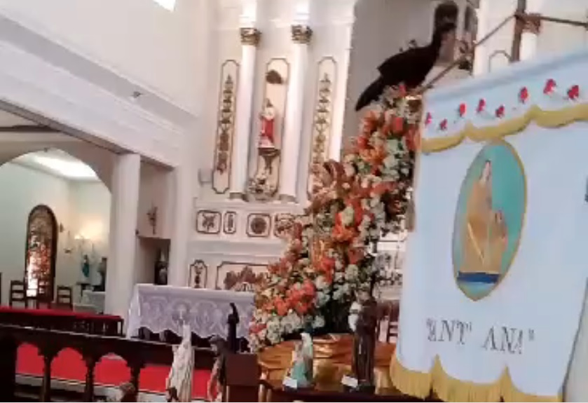 (Assista aos vídeos) Jacu derruba imagem de santa na véspera do aniversário de Sant’Ana