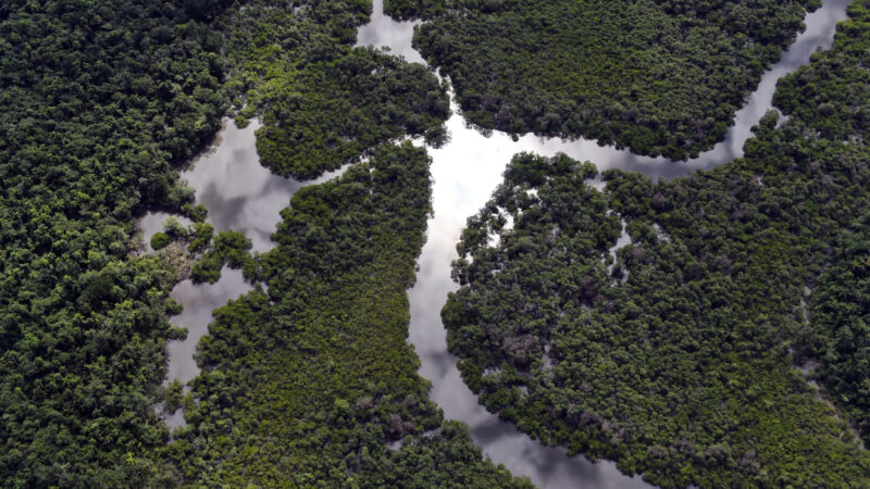 Paraná foi o estado que mais reduziu o desmatamento da Mata Atlântica