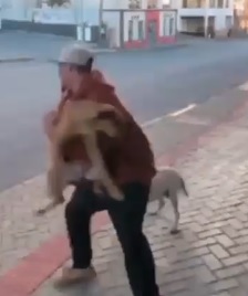 Homem é indiciado por maus-tratos contra cão