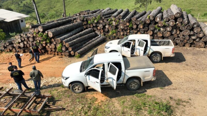 Operação resulta em 154 infrações e R$ 13,1 milhões em multas por desmatamento no Vale do Ribeira