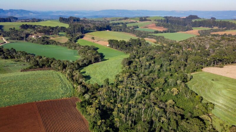 Com protagonismo ambiental, Paraná é o terceiro estado mais competitivo do Brasil