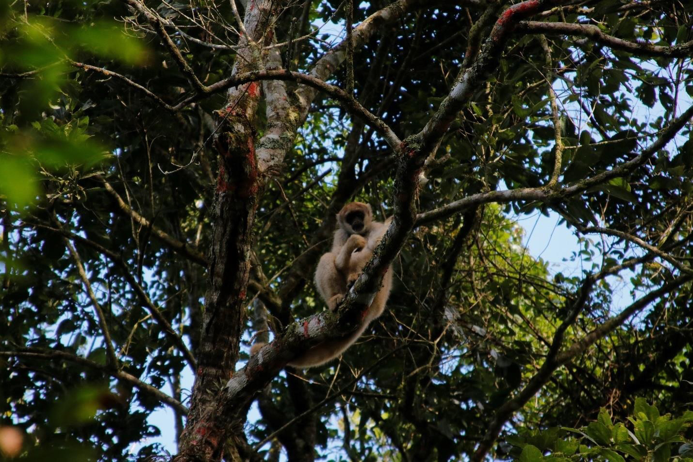 Alunos de Castro vão conhecer espécies em extinção em visita ao zoológico de Curitiba