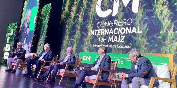 Abramilho destaca produção brasileira em ‘Congreso Internacional de Maíz’, na Argentina