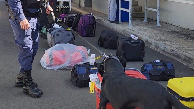 Parceria com a Polícia Federal vai intensificar a fiscalização de bagagens no aeroporto de Ponta Grossa