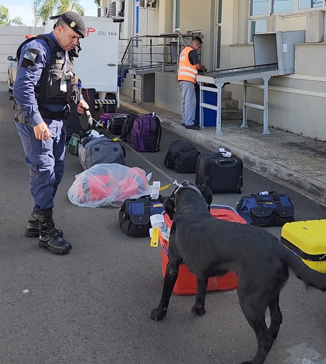 Parceria com a Polícia Federal vai intensificar a fiscalização de bagagens no aeroporto de Ponta Grossa