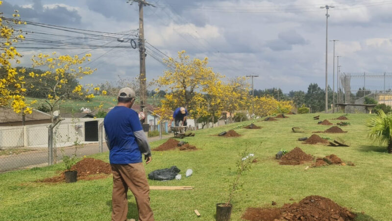 Polícia Penal ajudará a plantar 200 árvores em Ponta Grossa até o fim de setembro
