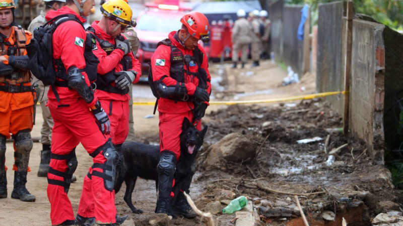 Paraná manda mais sete bombeiros e três cães para ajudar o Rio Grande do Sul