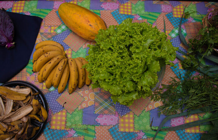 Tibagi comemora Dia Mundial da Alimentação com ação em escolas