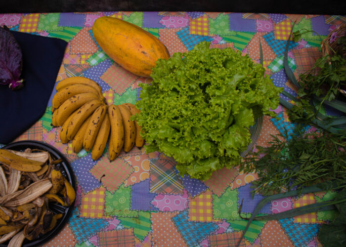 Tibagi comemora Dia Mundial da Alimentação com ação em escolas