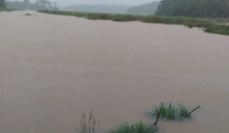 (Assista aos vídeos) Chuvas intensas provocam transtornos em Carambeí