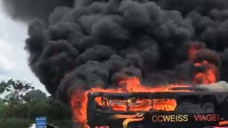 Vídeo mostra dimensão de incêndio que atingiu ônibus em Carambeí
