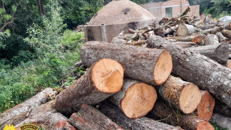 Força Verde descobre dois fornos que utilizavam da madeira nativa para produção de lenha
