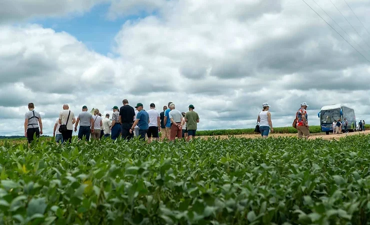 Poloneses visitam Campos Gerais para conhecer técnicas de cultivo de grãos na região