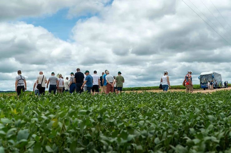 Poloneses visitam Campos Gerais para conhecer técnicas de cultivo de grãos na região