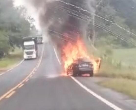 (Assista ao vídeo) Carro pega fogo e fica destruído na PR-090