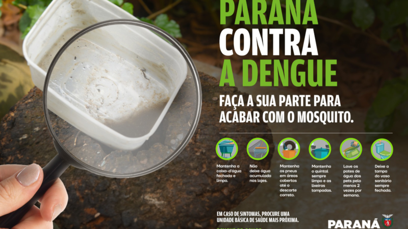 Luta contra o mosquito: Paraná lança campanha para reforçar cuidados contra a dengue