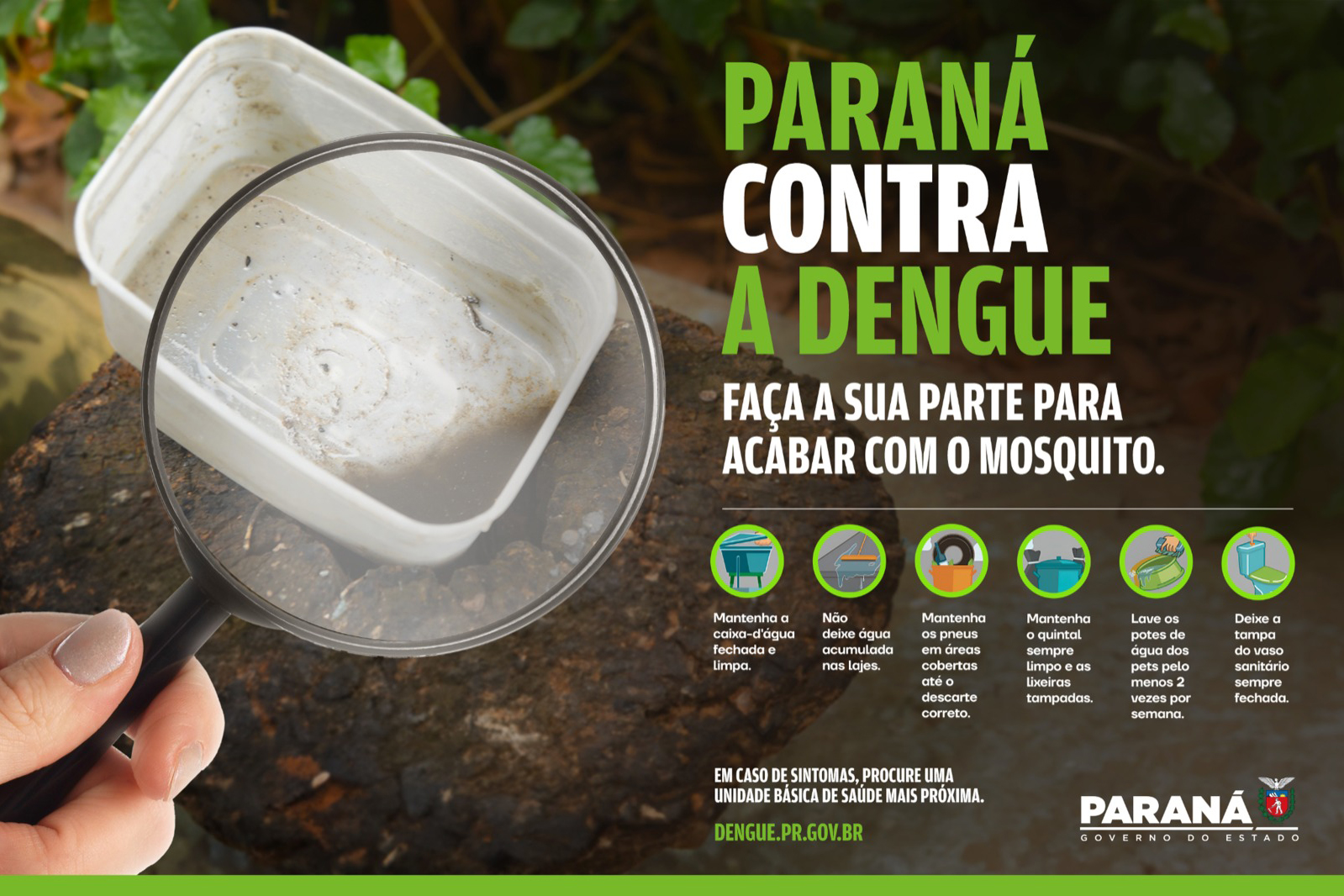 Luta contra o mosquito: Paraná lança campanha para reforçar cuidados contra a dengue