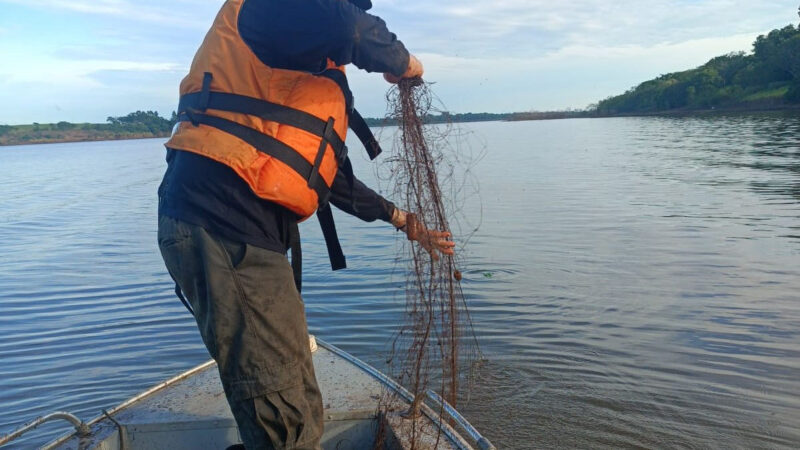 IAT conclui Piracema com R$ 265 mil em multas e 194,68 quilos de peixe apreendidos