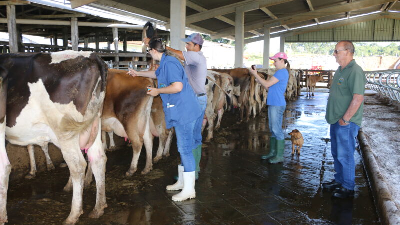 Programa para inseminação de bovinos em pequenas propriedades rurais chega a 4ª etapa