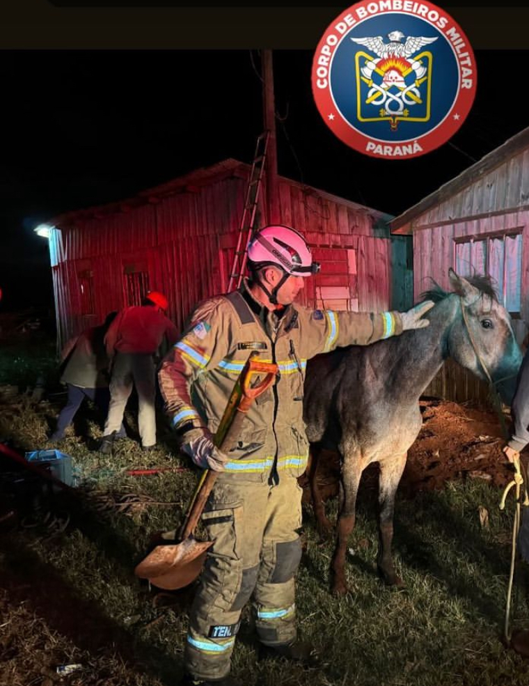 Bombeiros resgatam cavalo preso em buraco