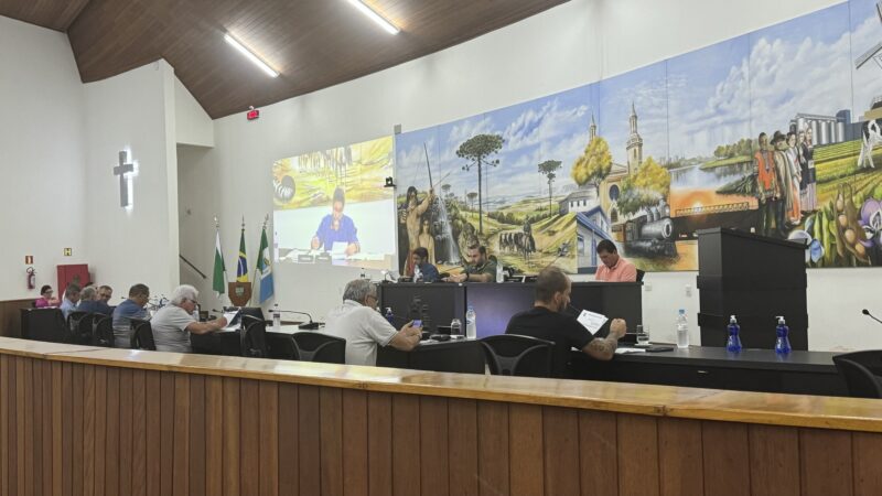 Vereador pede ao Executivo vale-alimentação a servidores do município