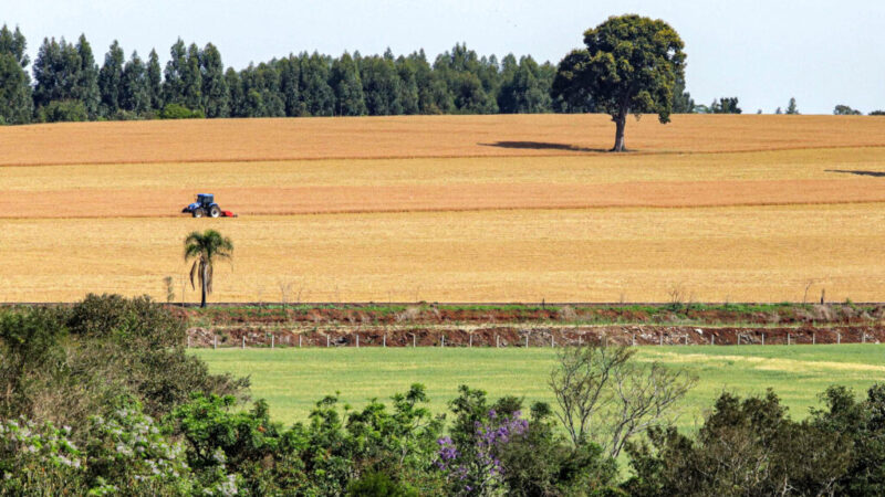 Com leis e programas, Paraná celebra pioneirismo na difusão da agricultura que cuida do solo
