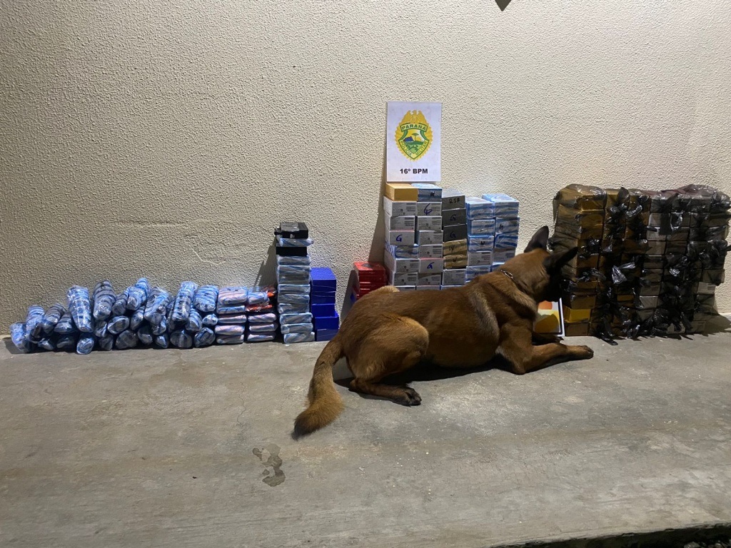PMPR realiza apreensões de entorpecentes e produtos de descaminho com auxílio de cão farejador, em ações distintas em Prudentópolis