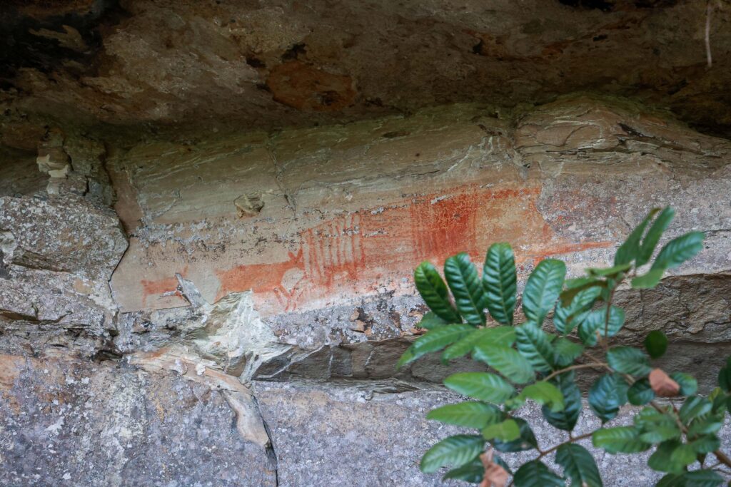 Geógrafo da região fará exposição sobre pinturas rupestres da Escarpa Devoniana