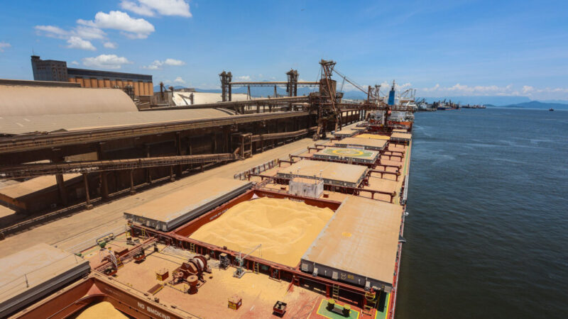 China recebe 91,8% da soja exportada pelo Porto de Paranaguá