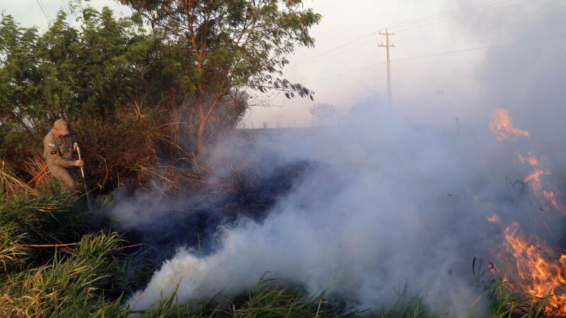 Incêndio destrói três hectares de pasto e atinge área de preservação permanente