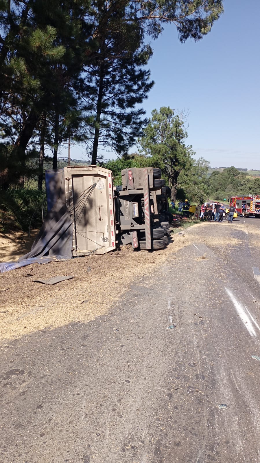 Motorista de caminhão de Carambeí morre em acidente na região de Guarapuava