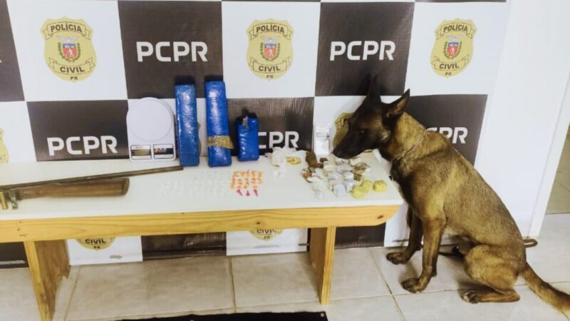 Drogas e arma são apreendidas pela Polícia Civil em operação em Sengés