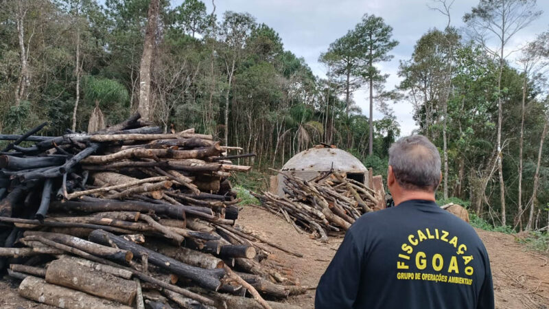 IAT intensifica fiscalização contra desmatamento ilegal na região Central do Estado