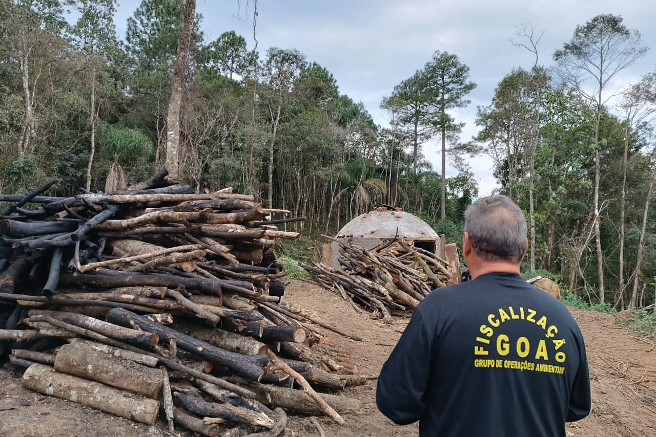 IAT intensifica fiscalização contra desmatamento ilegal na região Central do Estado