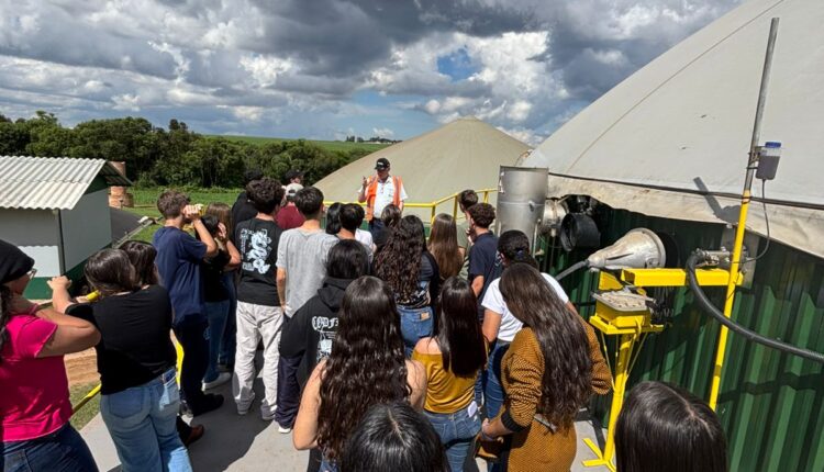 WhatsApp Image 2025-11-05 at 10.17.50 (1)