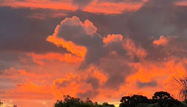 WhatsApp Image 2025-12-04 at 16.20.33 (2)