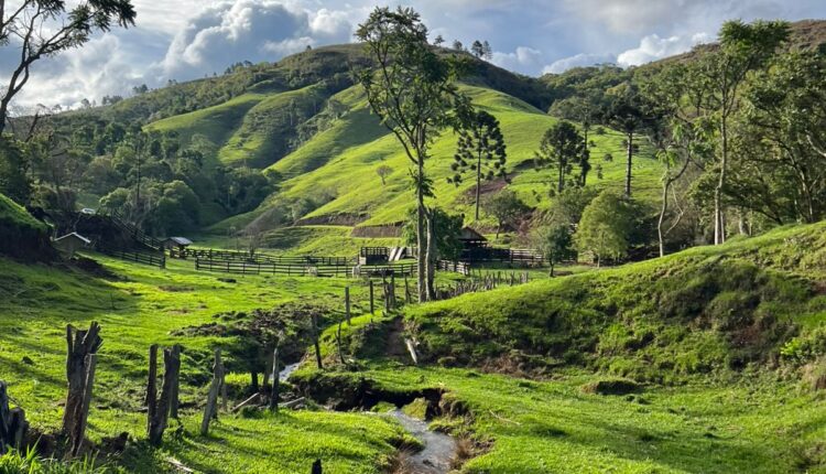 WhatsApp Image 2025-12-04 at 16.20.34