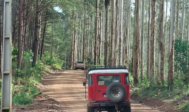 WhatsApp Image 2025-12-04 at 16.20.35 (2)