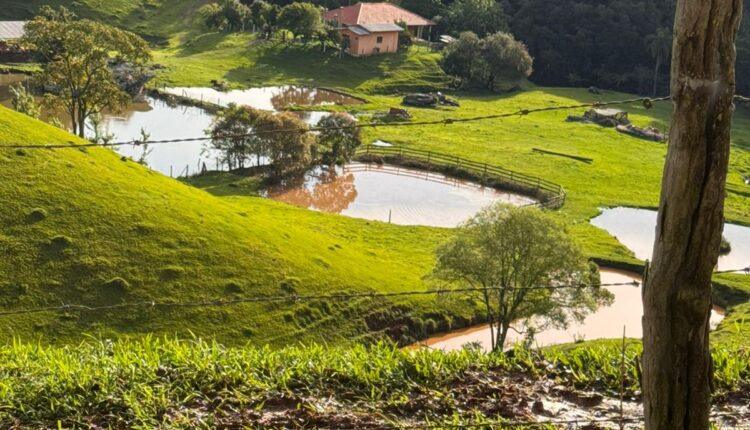 WhatsApp Image 2025-12-04 at 16.20.36 (1)