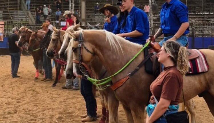 657290558_18189329527367241_4659541793390524751_n