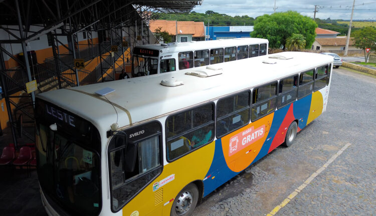 CREDITO 2023 TV.00_05_15_07.Quadro104.jpg