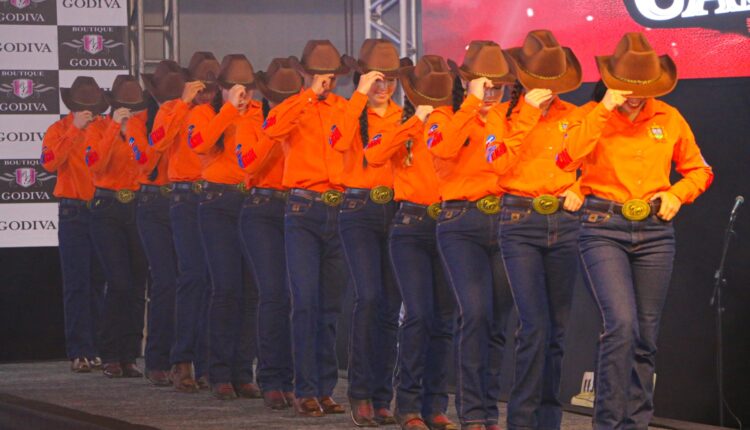 WhatsApp Image 2026-03-07 at 23.48.07 (2)