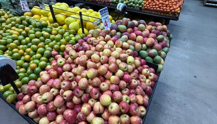 WhatsApp Image 2026-03-20 at 10.05.23 (1)