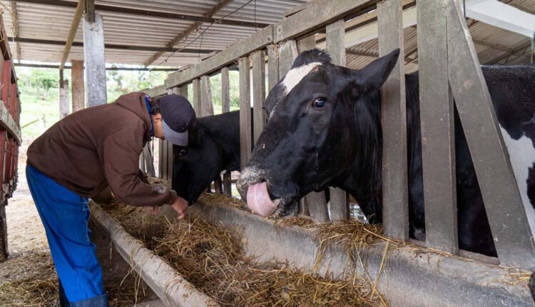 lucas_fermin_dsc00681