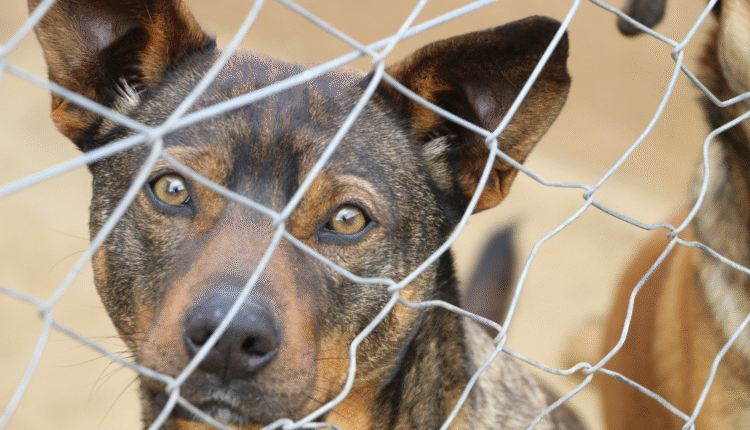 img_19EF2888AD2A0672A1EE60A1E667557EFBEA4E41_1080x1920